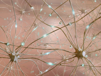 neuroner