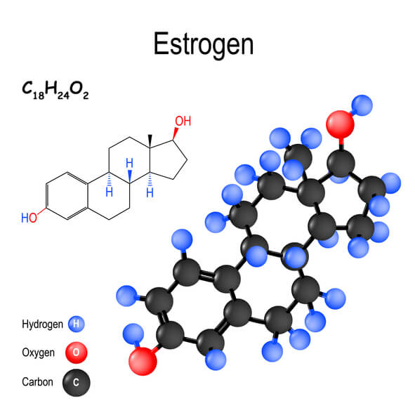Østrogen