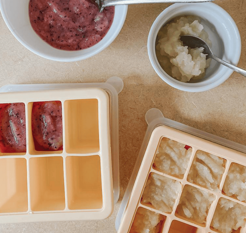 Haakaa Opbevaring af brystmælk eller babymad i Apricot med 6 rum