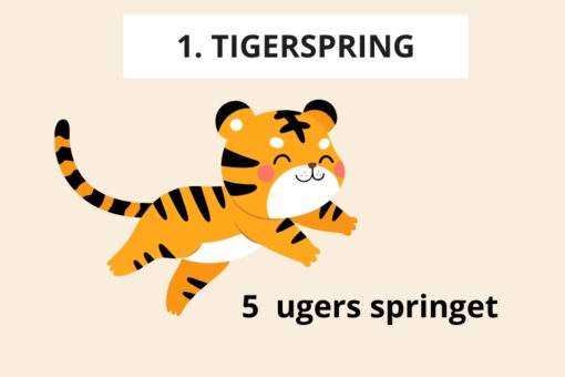 Tigerspring 1. 5 ugers springet