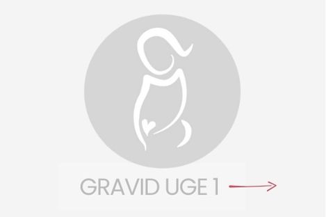 gravid uge 1