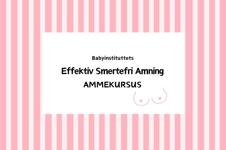 ammekursus