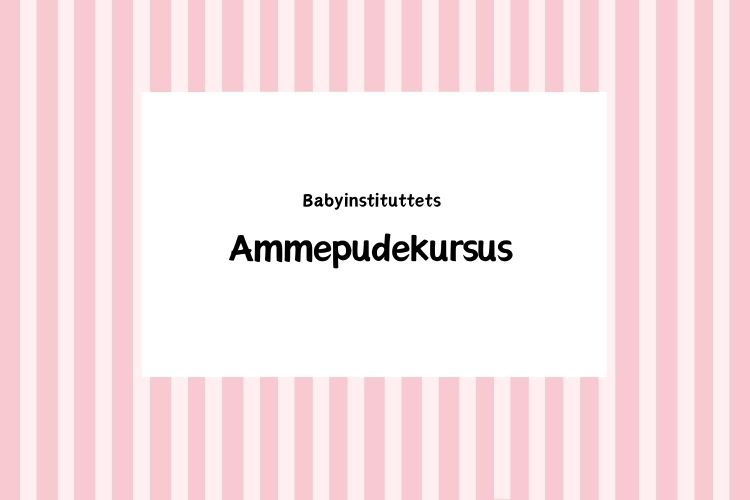 ammepudekursus